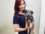 Ветеринар в Звенигороде