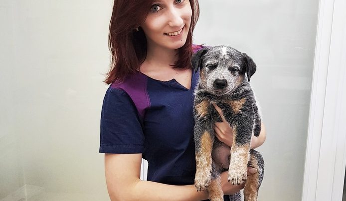 Ветеринар на дом в Звенигороде