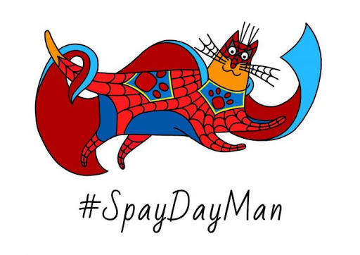 Spay Day- всемирный день кастрации